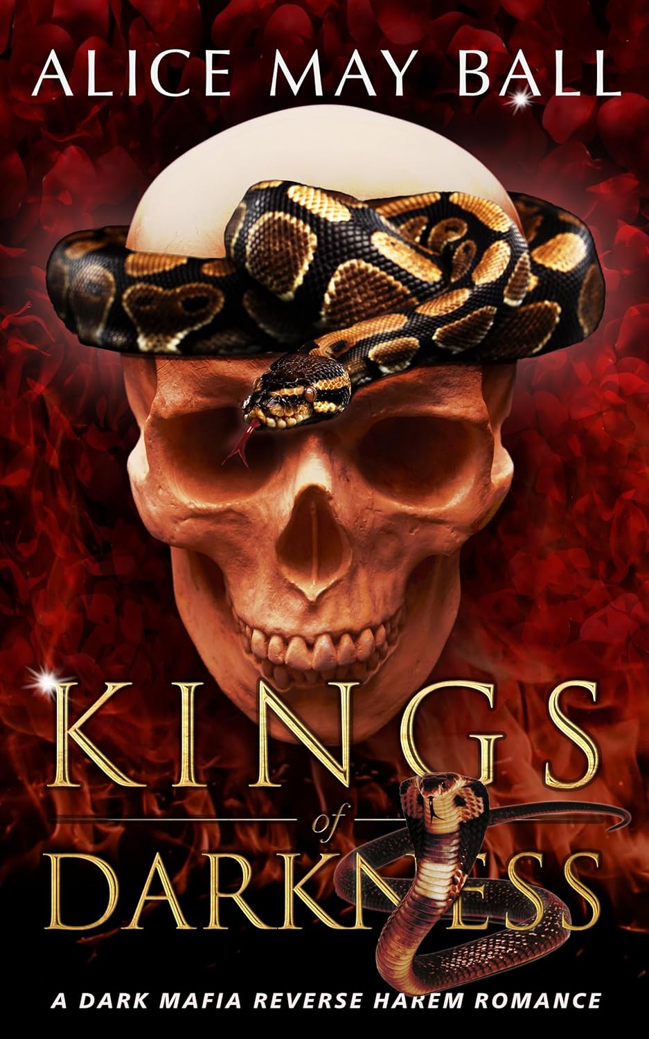 Kings of Darkness: A dark mafia reverse harem romance (The ‘F’ Word Book 1)