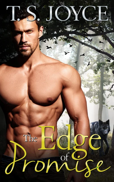 The Edge of Promise (The Wolves of Promise Falls Book 5)