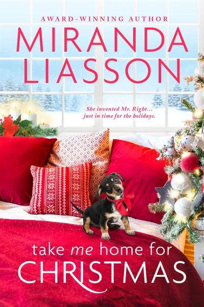 Take Me Home for Christmas: A Heartwarming Small-Town Holiday Romance (The Amazing Doctors of Oak Bluff Book 1)