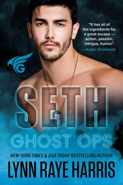 Seth: A Small Town, Enemies to Lovers, Military Protector Romance (Ghost Ops Book 3)
